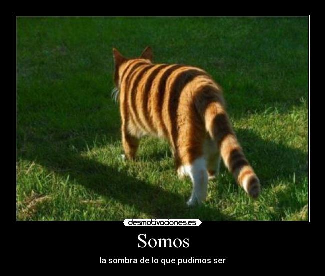 Somos - la sombra de lo que pudimos ser