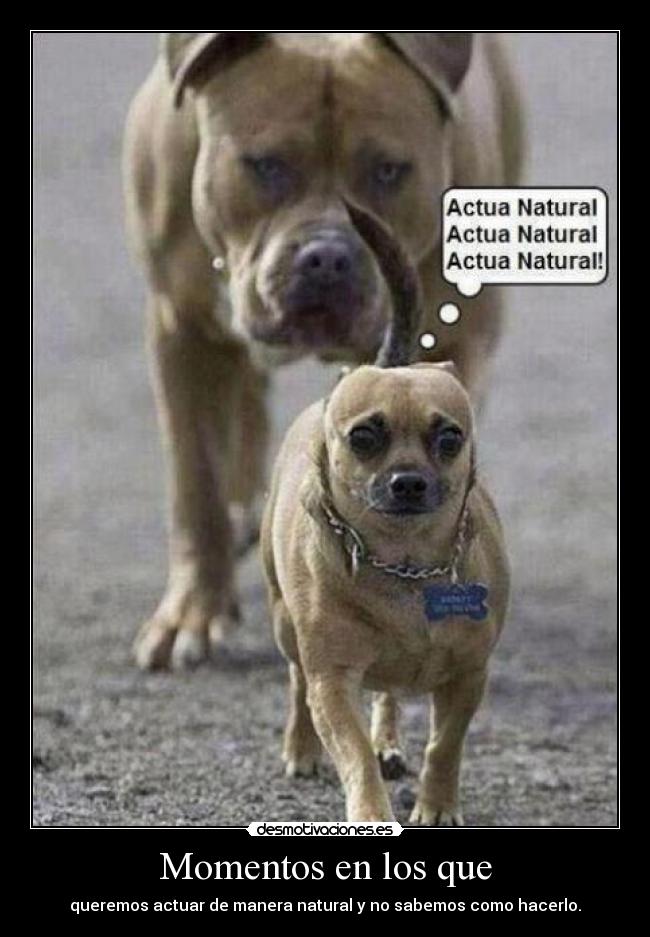 Momentos en los que - queremos actuar de manera natural y no sabemos como hacerlo.