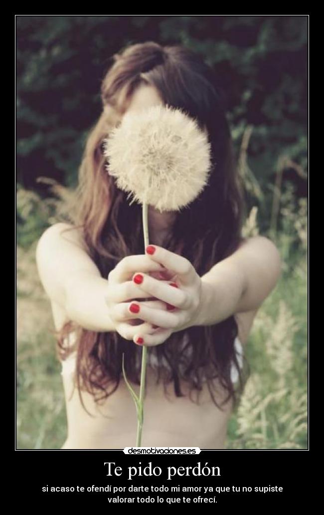 Te pido perdón - si acaso te ofendí por darte todo mi amor ya que tu no supiste
valorar todo lo que te ofrecí.