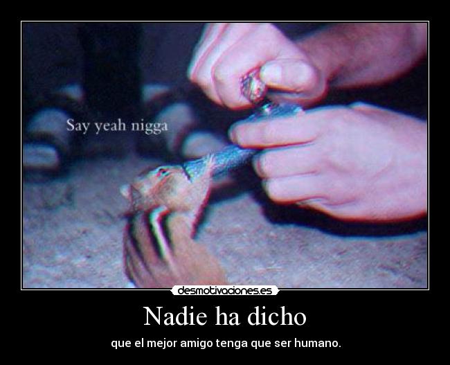 Nadie ha dicho - que el mejor amigo tenga que ser humano.