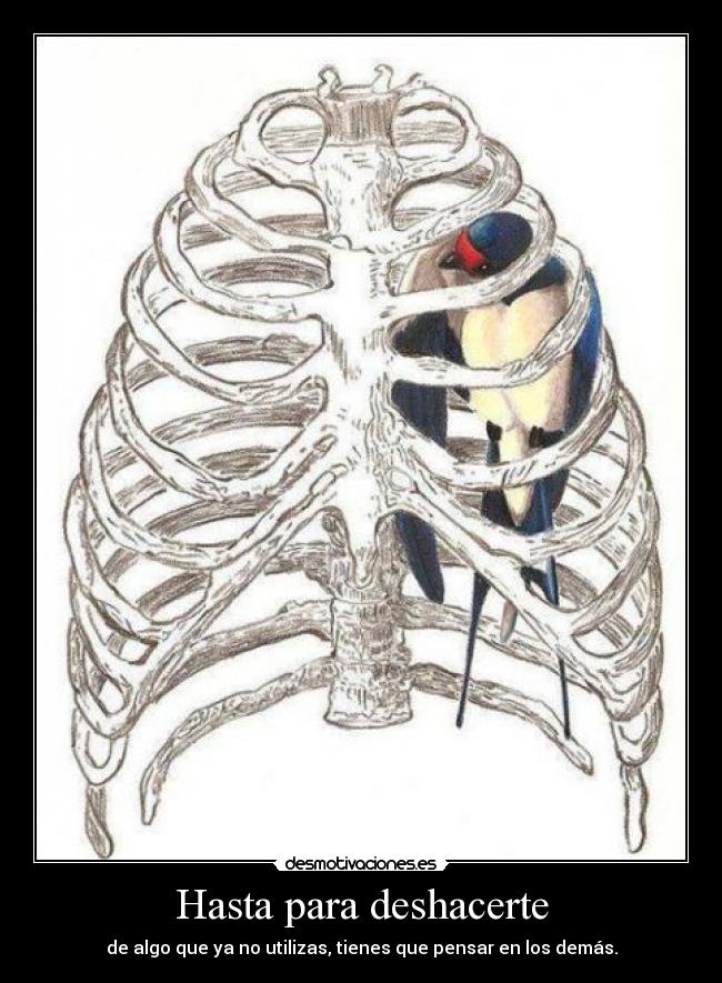 Hasta para deshacerte -