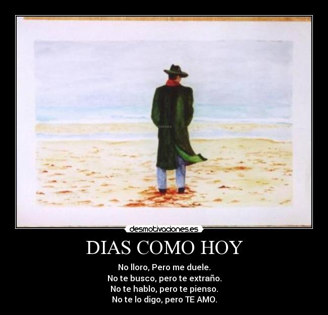 carteles amor lloro pienso duele desmotivaciones