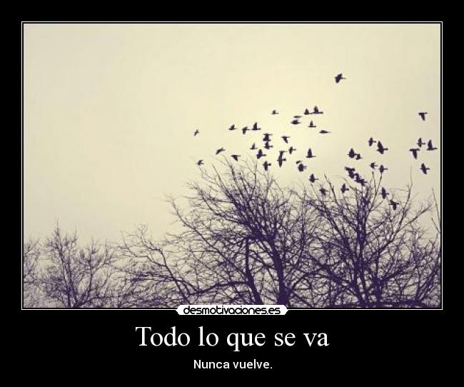 carteles encanta foto desmotivaciones