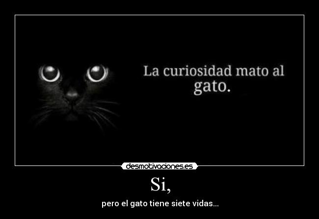 Si, - pero el gato tiene siete vidas...