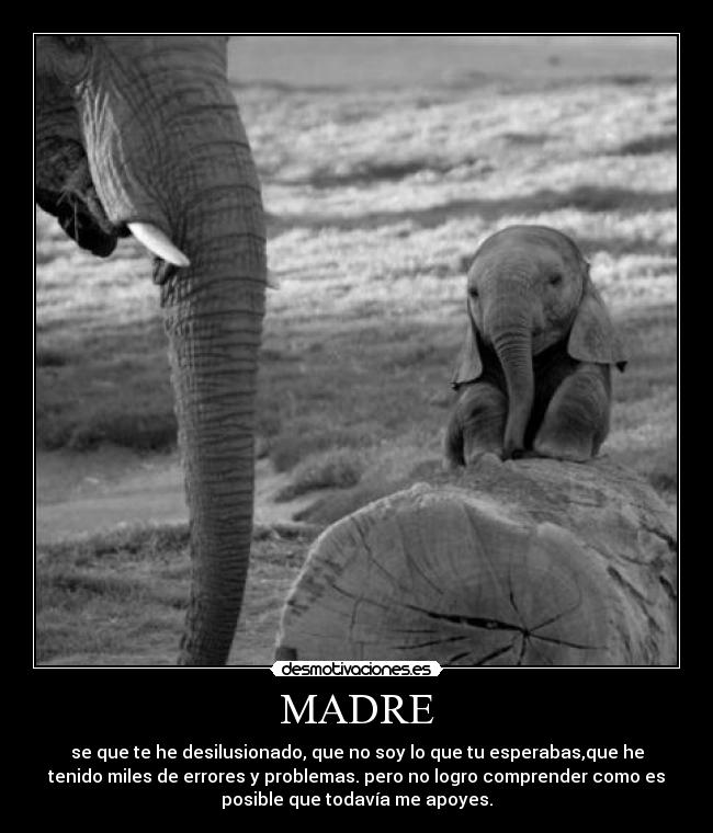 carteles madre madre mama errores problema amor naturaleza belleza desmotivaciones