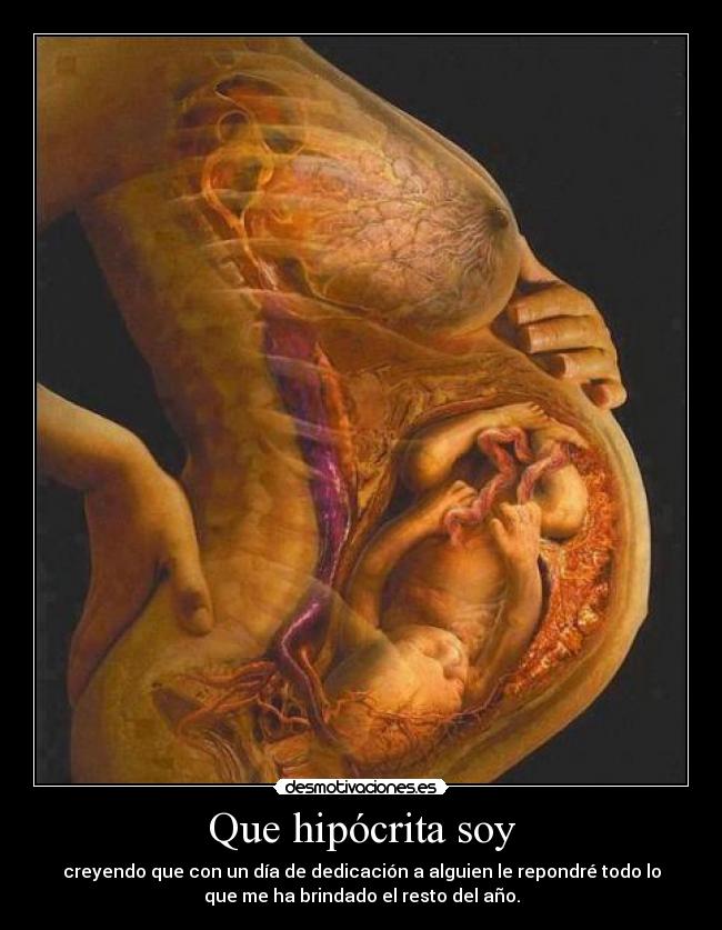 Que hipócrita soy - 