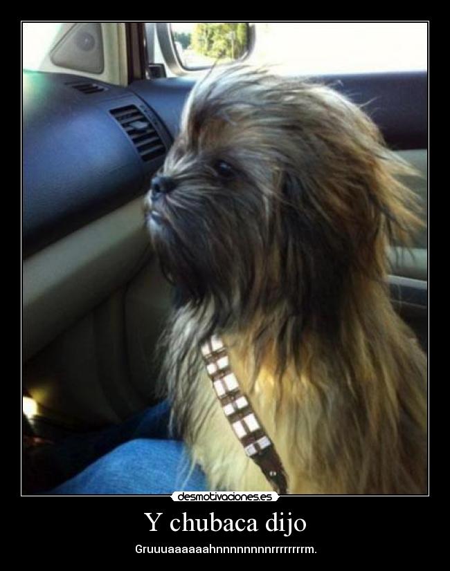 Y chubaca dijo - Gruuuaaaaaahnnnnnnnnrrrrrrrrm.