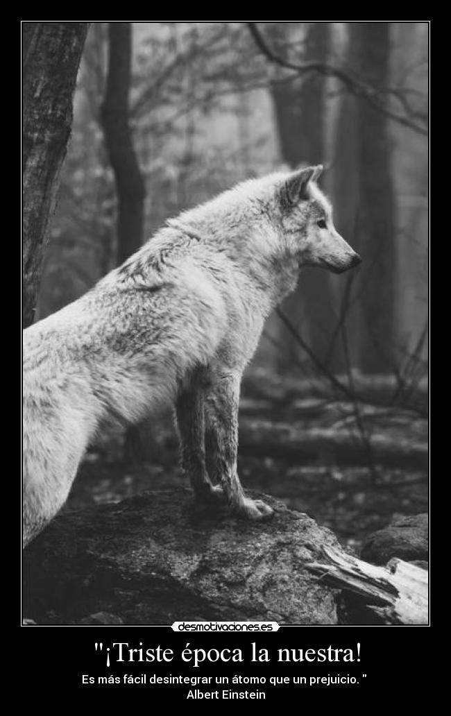 carteles albert einstein desmotivaciones