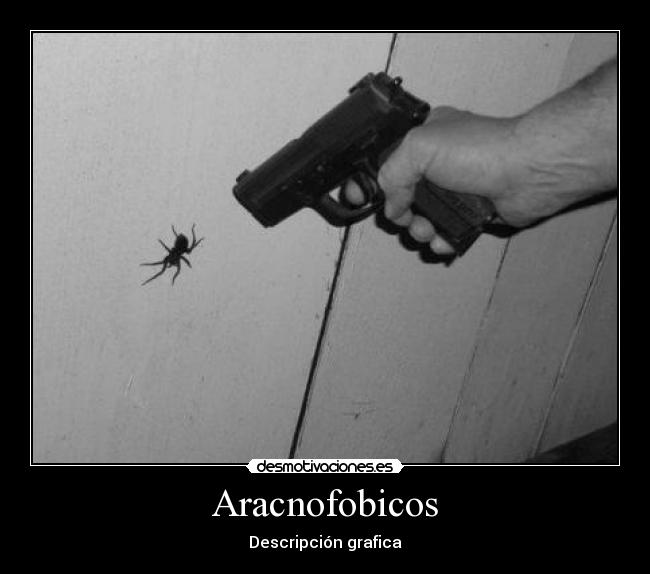 Aracnofobicos - Descripción grafica