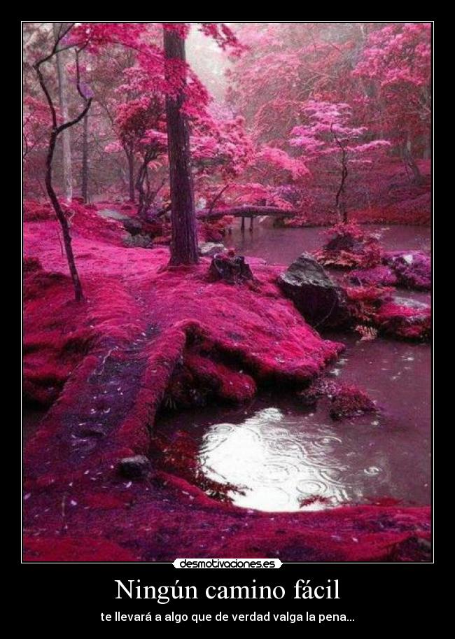 carteles direccion desmotivaciones