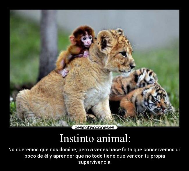 Instinto animal: - No queremos que nos domine, pero a veces hace falta que conservemos un
poco de él y aprender que no todo tiene que ver con tu propia
supervivencia.