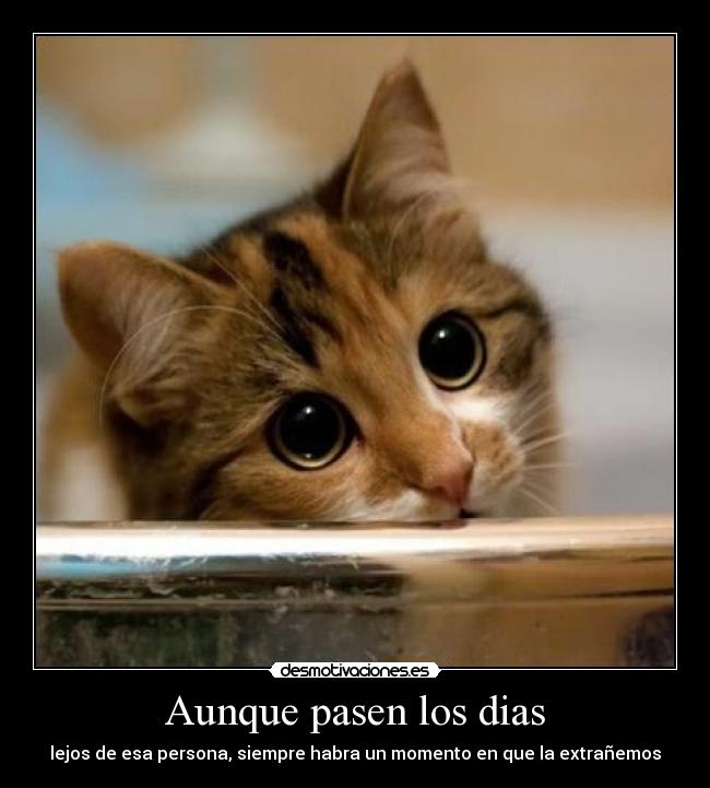 Aunque pasen los dias - 