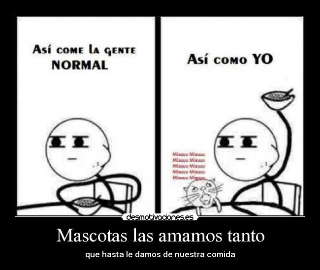 Mascotas las amamos tanto - que hasta le damos de nuestra comida