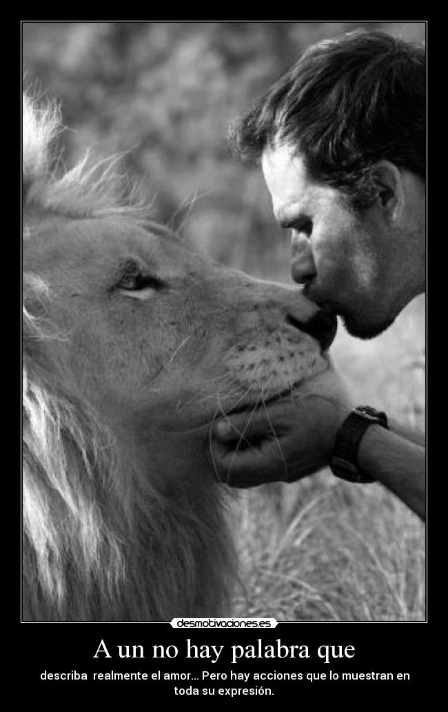 A un no hay palabra que - describa  realmente el amor... Pero hay acciones que lo muestran en
toda su expresión.