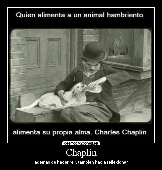 Chaplin - 