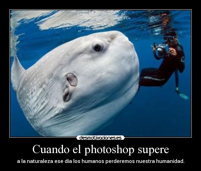 carteles pez luna pez unico singular history channel javprox111 desmotivaciones