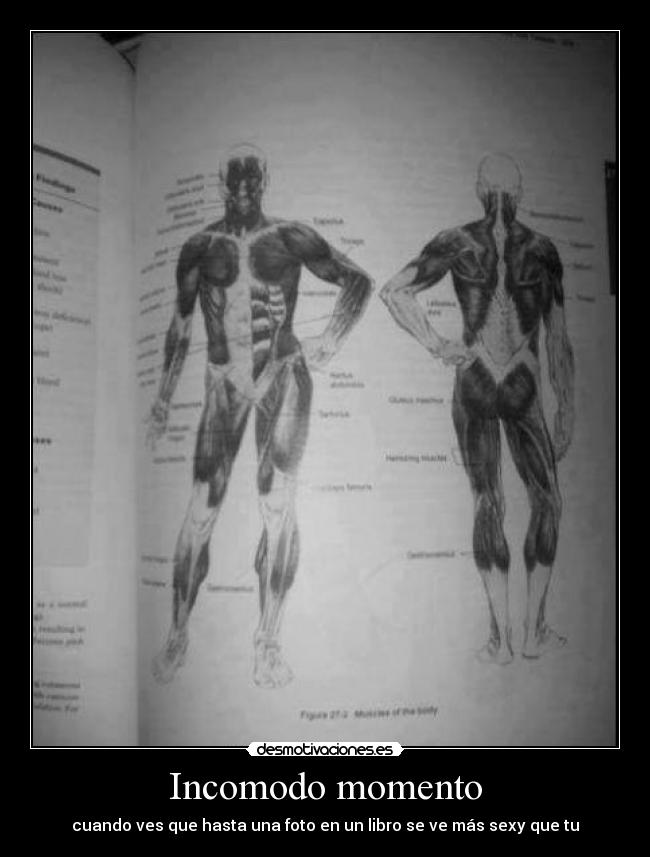 Incomodo momento - cuando ves que hasta una foto en un libro se ve más sexy que tu