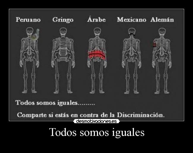 Todos somos iguales - 