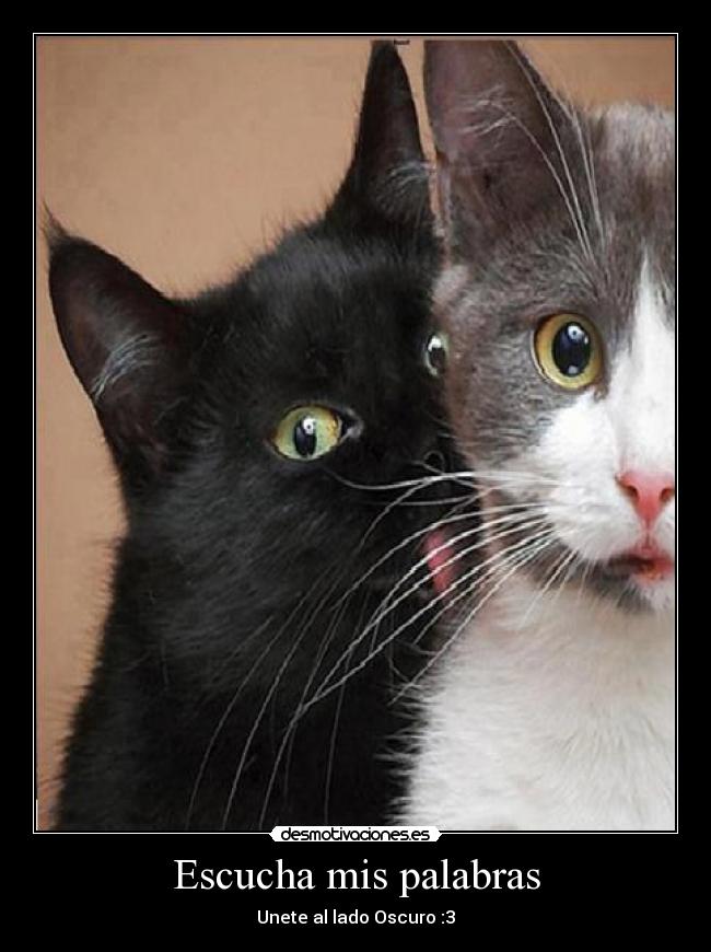 Escucha mis palabras -