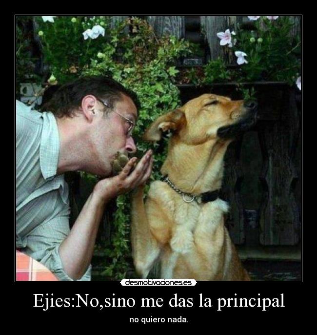 Ejies:No,sino me das la principal -