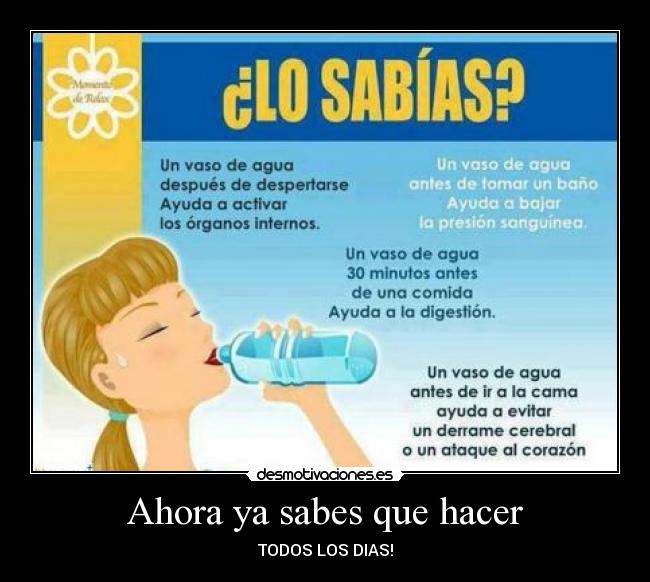 Ahora ya sabes que hacer -