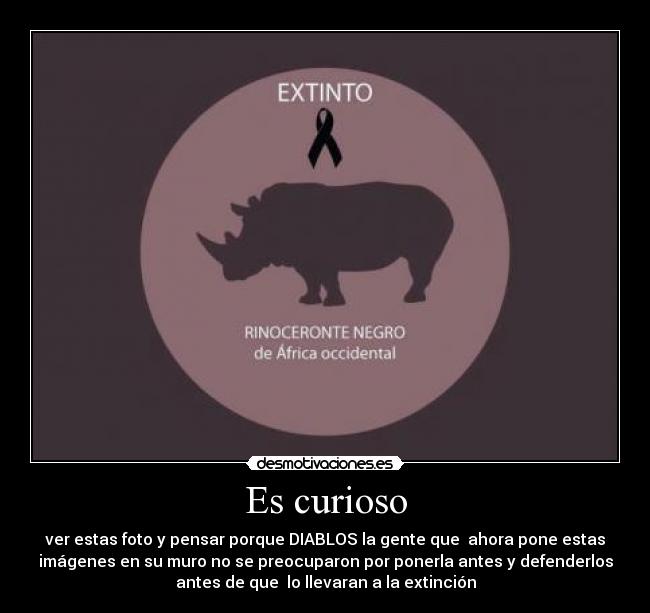 Es curioso - ver estas foto y pensar porque DIABLOS la gente que ahora pone estas
imágenes en su muro no se preocuparon por ponerla antes y defenderlos
antes de que lo llevaran a la extinción