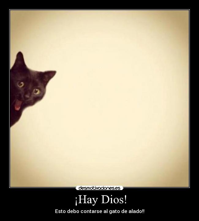 ¡Hay Dios! - Esto debo contarse al gato de alado!!