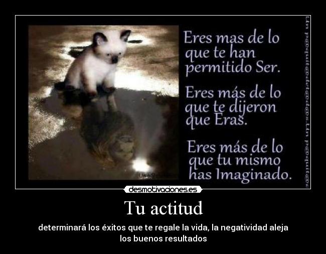 carteles actitud desmotivaciones