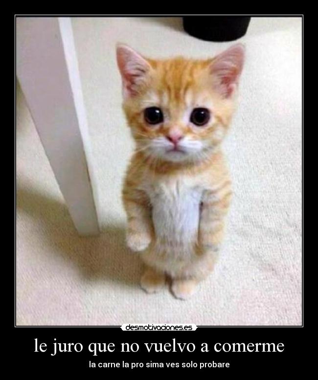 Resultado de imagen para desmotivaciones.es