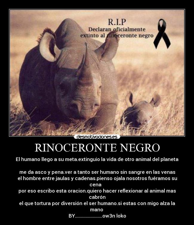 RINOCERONTE NEGRO -