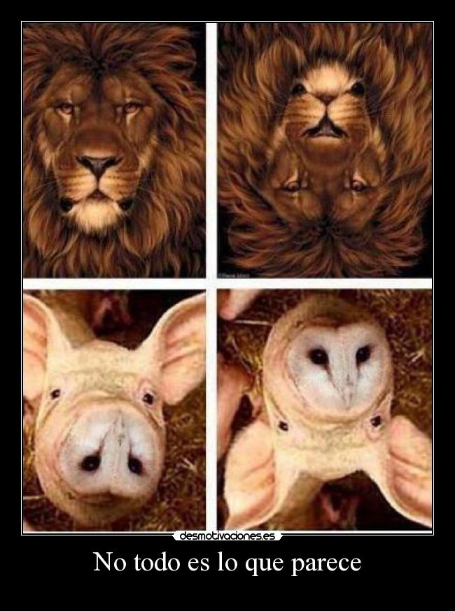 No todo es lo que parece -