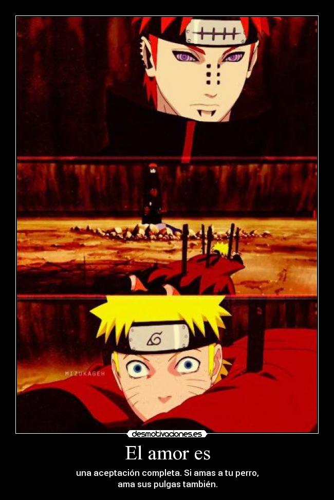 El amor es - una aceptación completa. Si amas a tu perro,
ama sus pulgas también.