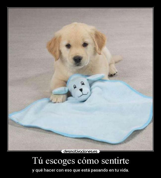 Tú escoges cómo sentirte - 