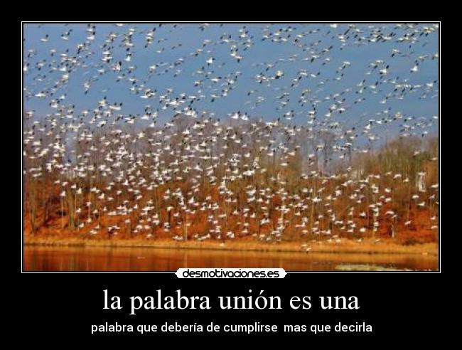 la palabra unión es una -