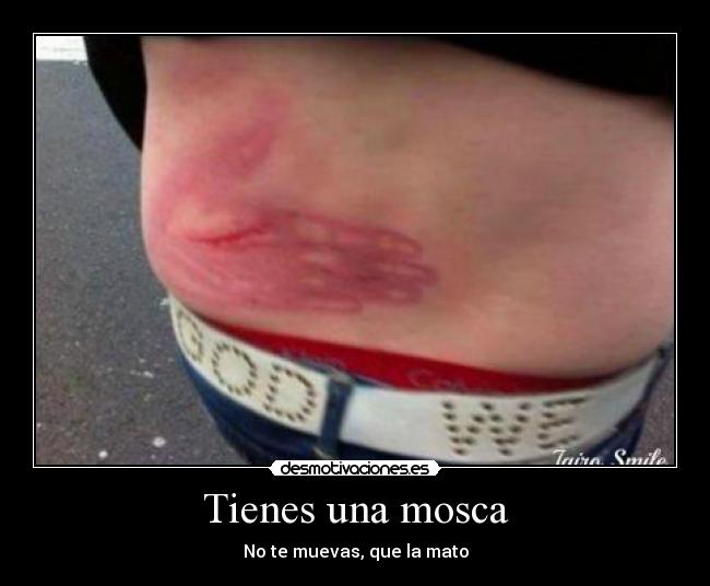 Tienes una mosca - 