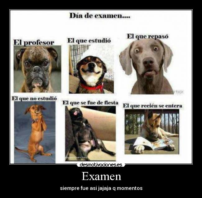Examen -