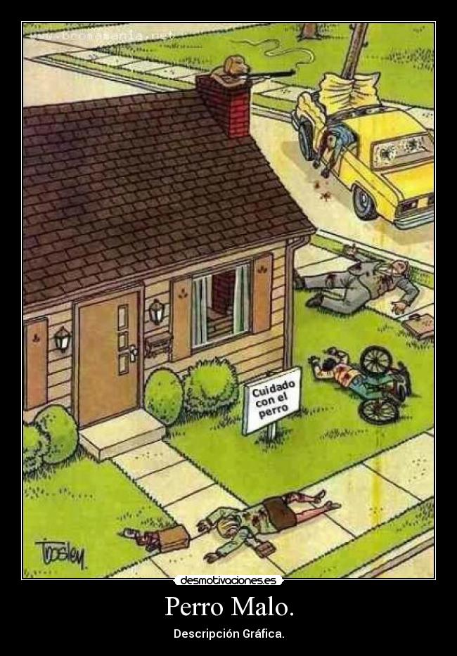 Perro Malo. - Descripción Gráfica.
