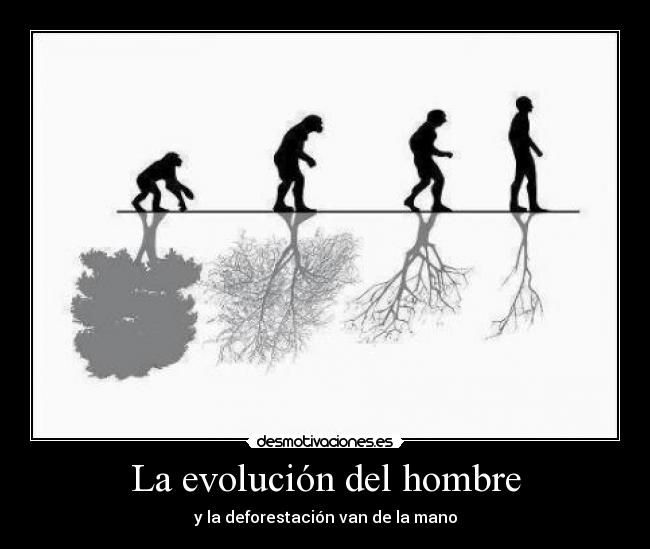 La evolución del hombre -