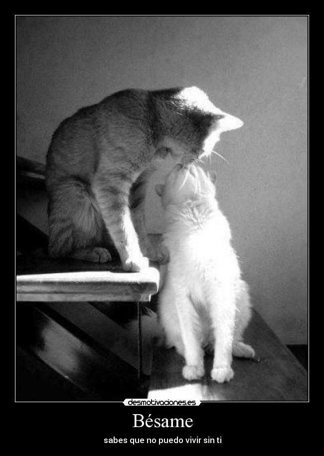 Bésame - 