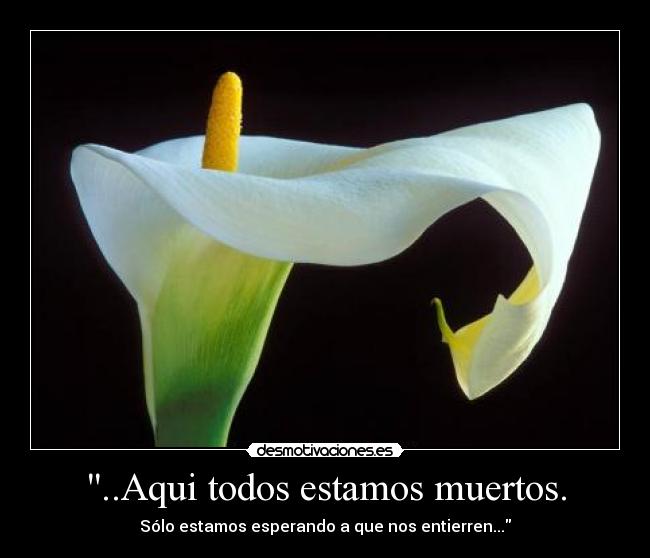 ..Aqui todos estamos muertos. - Sólo estamos esperando a que nos entierren...