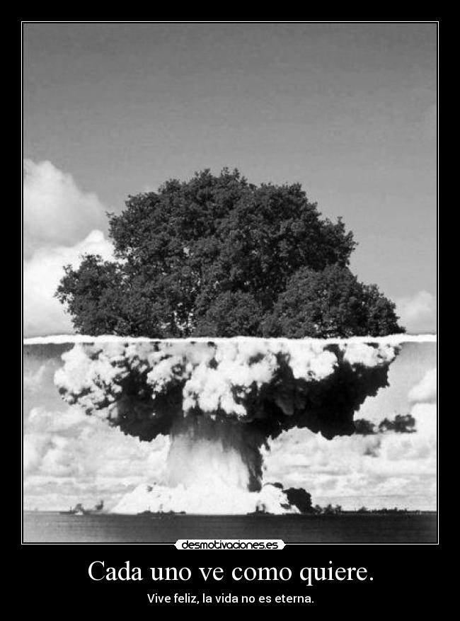 Cada uno ve como quiere. -