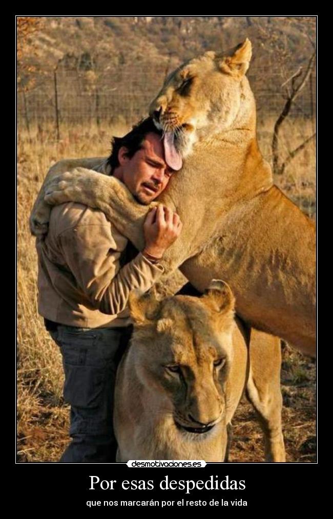 Por esas despedidas - 