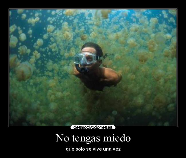 No tengas miedo - que solo se vive una vez