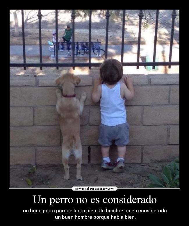 Un perro no es considerado - un buen perro porque ladra bien. Un hombre no es considerado
 un buen hombre porque habla bien.