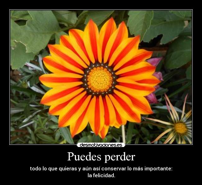 Puedes perder - todo lo que quieras y aún así conservar lo más importante:
la felicidad.