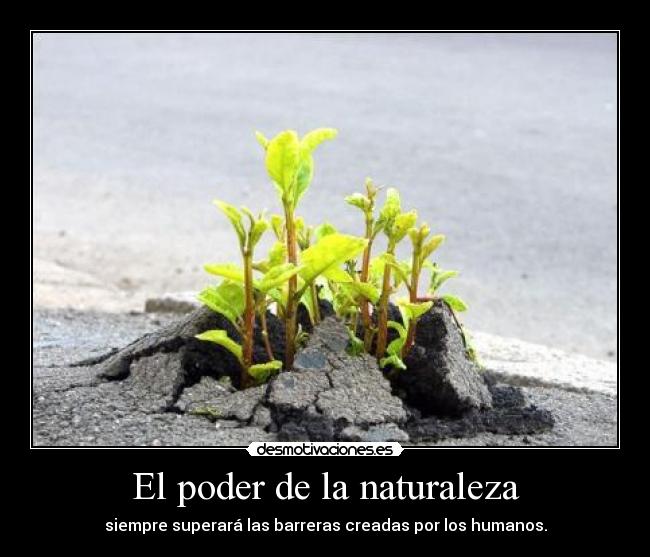 El poder de la naturaleza -
