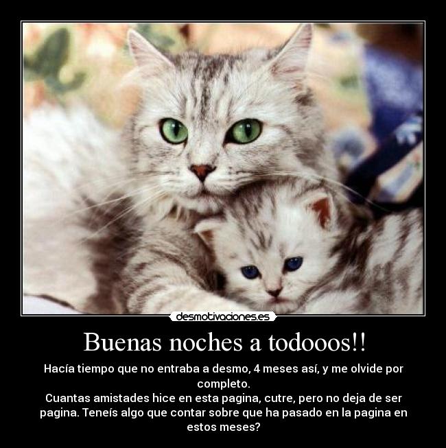 Buenas noches a todooos!! - Hacía tiempo que no entraba a desmo, 4 meses así, y me olvide por
completo.
Cuantas amistades hice en esta pagina, cutre, pero no deja de ser
pagina. Teneís algo que contar sobre que ha pasado en la pagina en
estos meses?