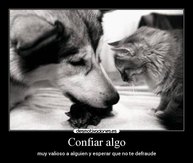 Confiar algo - muy valioso a alguien y esperar que no te defraude