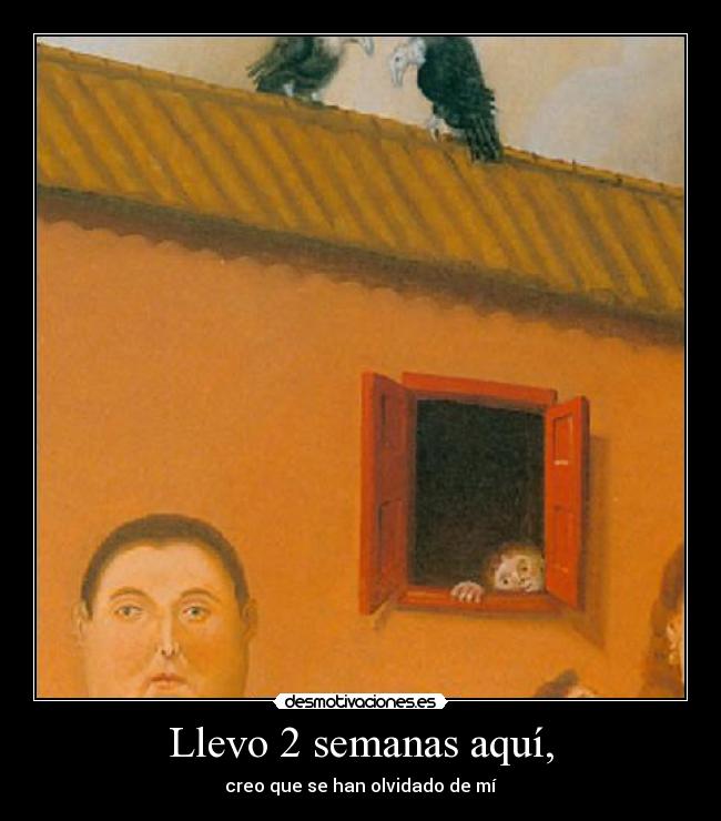 Llevo 2 semanas aquí, - 