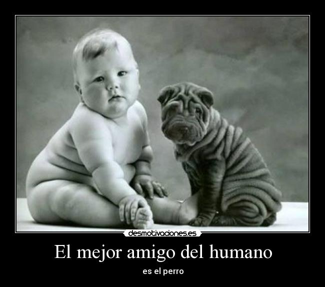 El mejor amigo del humano - 